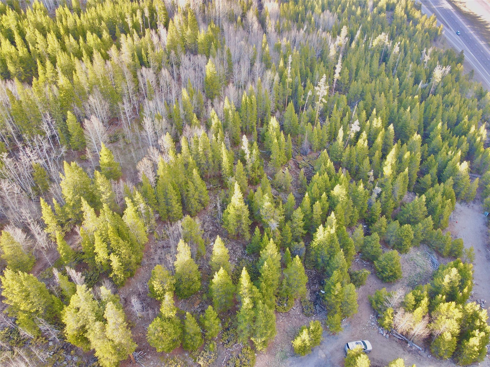 481 Giberson Road Frisco, CO 80443 - Photo 11 of 21