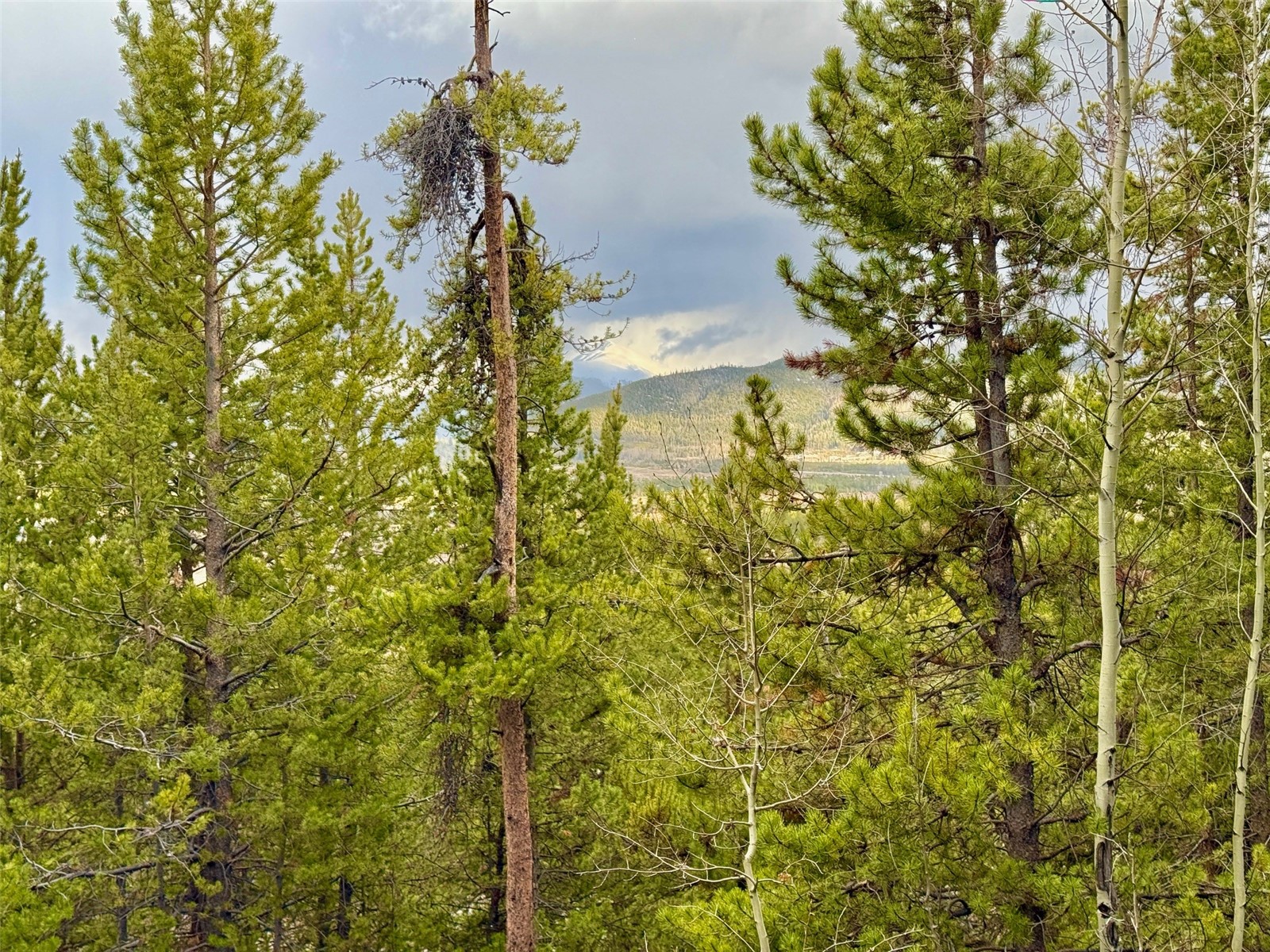 481 Giberson Road Frisco, CO 80443 - Photo 13 of 21