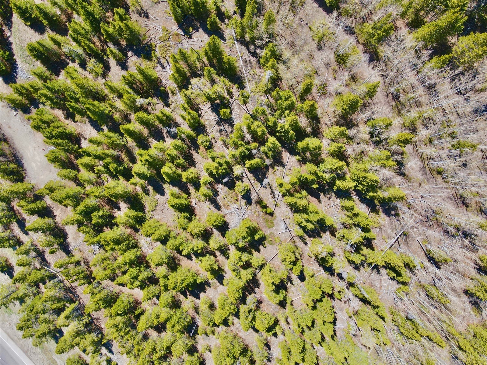 481 Giberson Road Frisco, CO 80443 - Photo 20 of 21