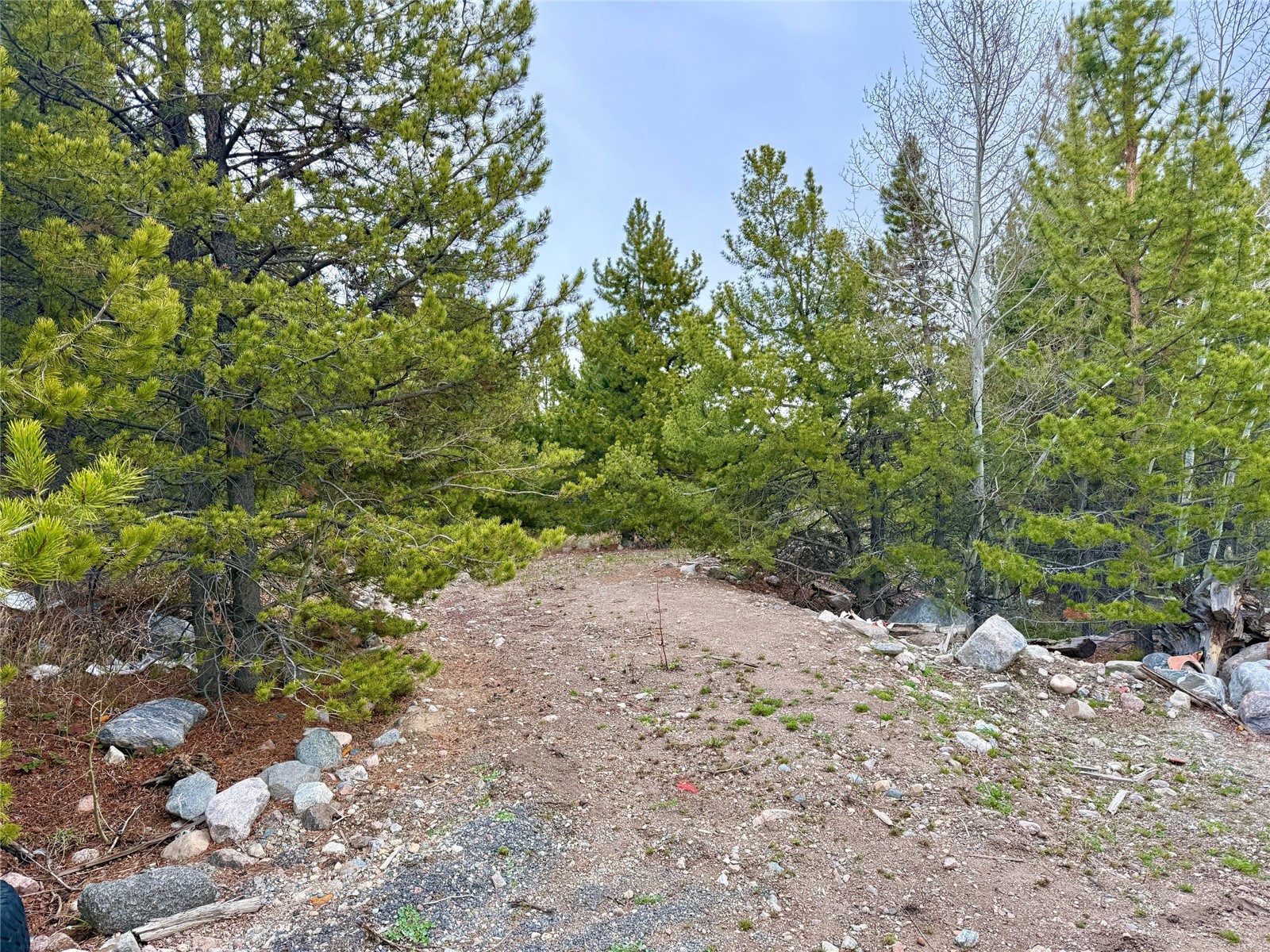 481 Giberson Road Frisco, CO 80443 - Photo 10 of 21