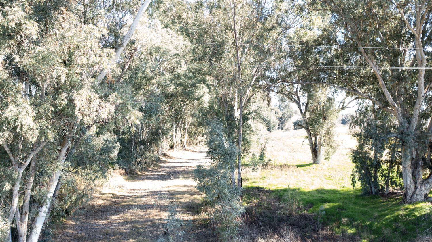 14100 Jordan Road Le Grand, CA 95333 - Photo 25 of 25 a view of outdoor space with trees