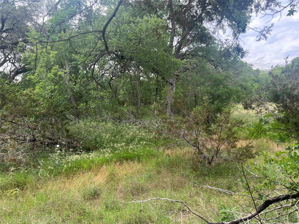 Tbd Narrows Road Blanco, TX 78606 - Photo 12 of 18