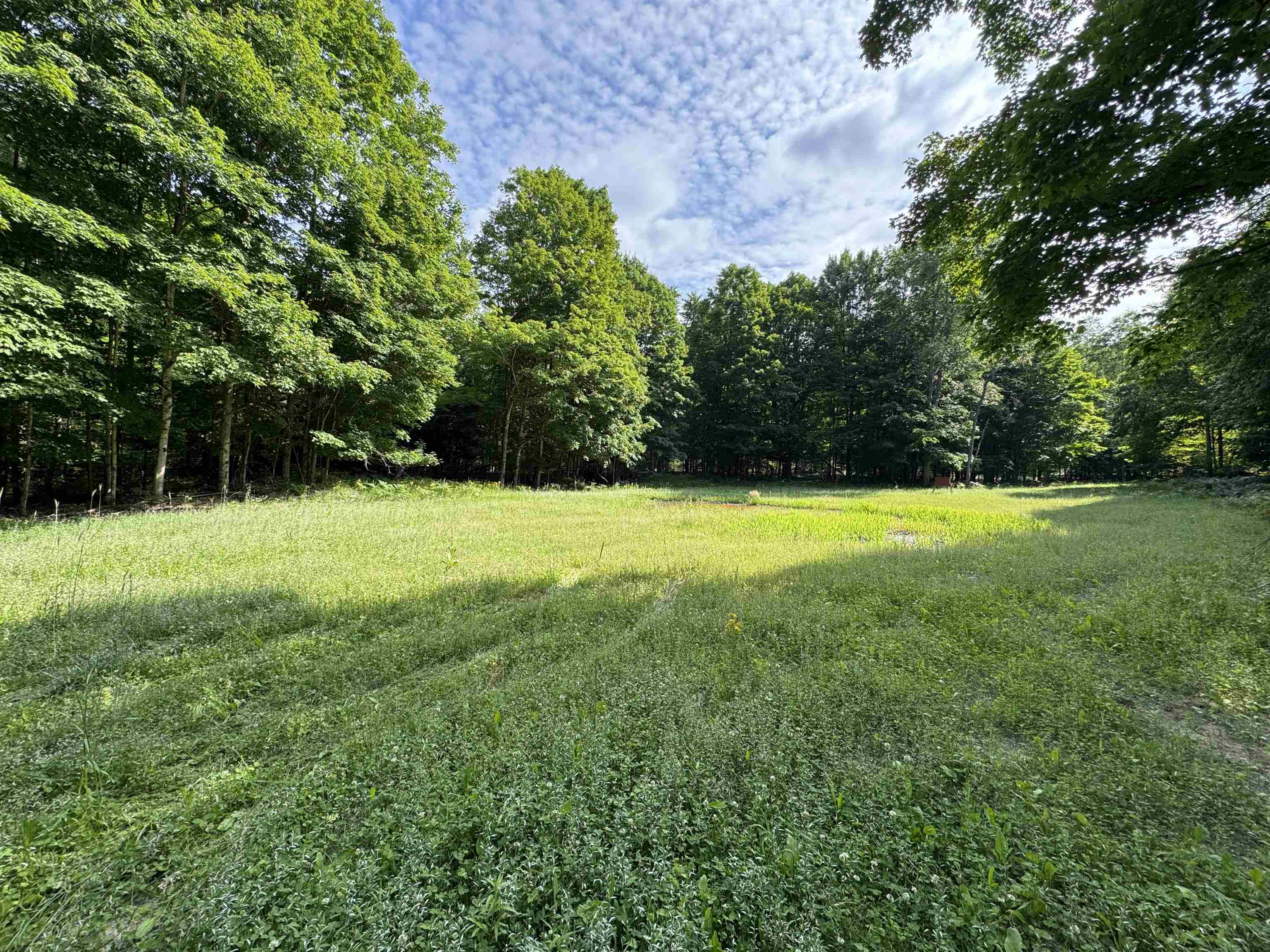 0 West Beeman Road, Unit WELLS CREEK RANCH Empire, MI 49630 - Photo 7 of 17