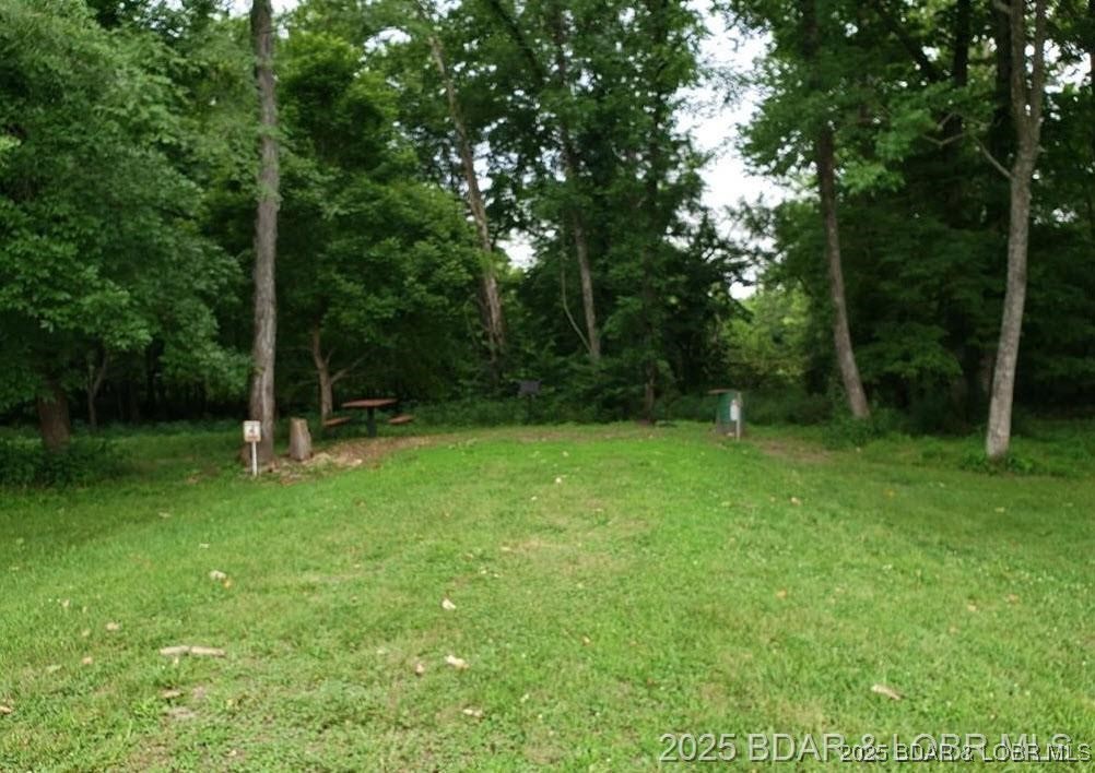 Trinchera Road, Unit 3944 & 3945 Edwards, MO 65326 - Photo 17 of 18 common ground