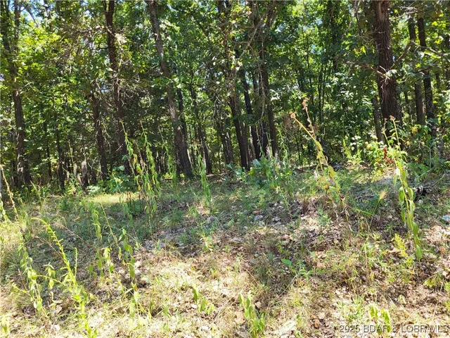 $15,000 | Trinchera Road, Unit 3944 & 3945, Edwards, MO 65326