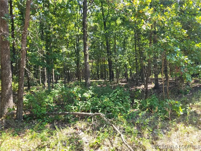 $15,000 | Trinchera Road, Unit 3944 & 3945, Edwards, MO 65326