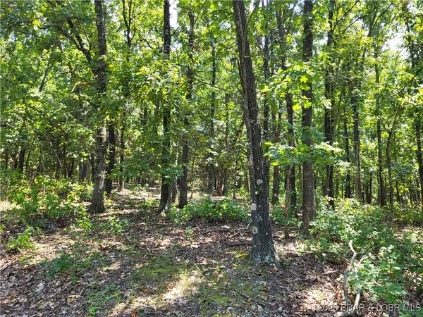 $15,000 | Trinchera Road, Unit 3944 & 3945, Edwards, MO 65326
