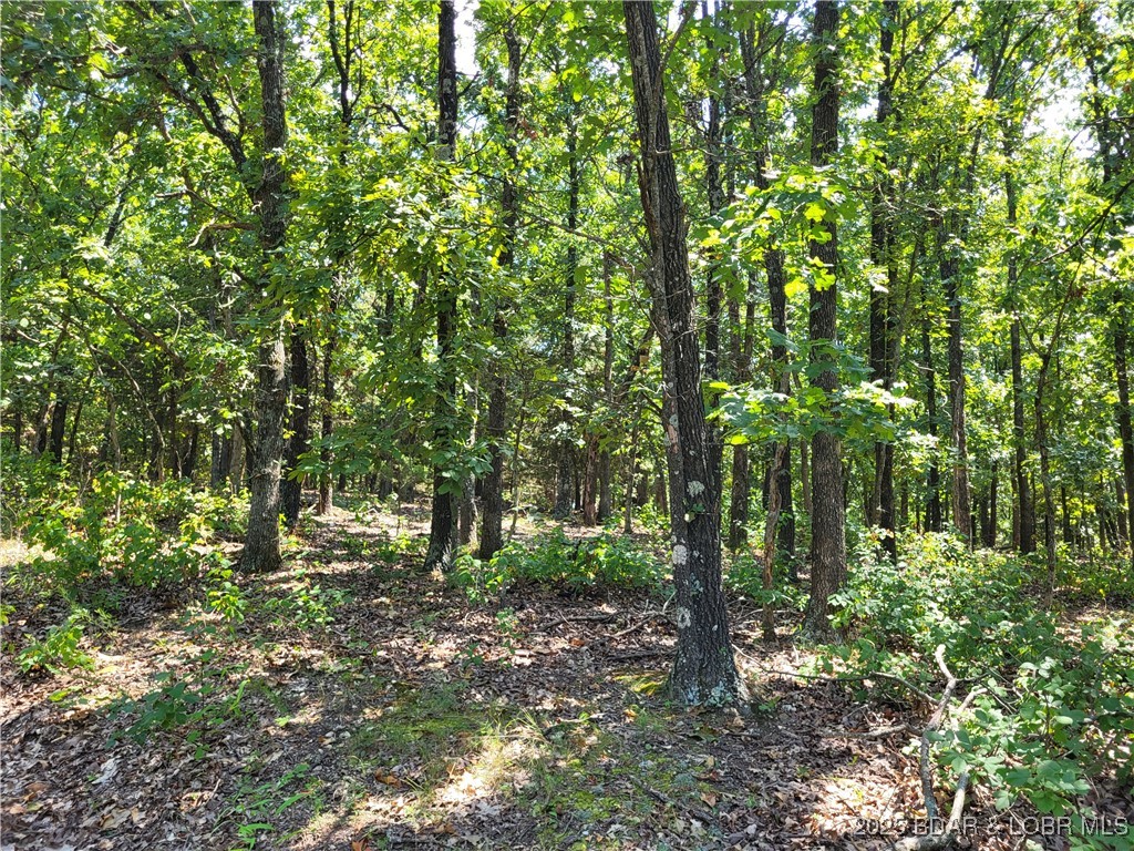 Trinchera Road, Unit 3944 & 3945 Edwards, MO 65326 - Photo 8 of 18