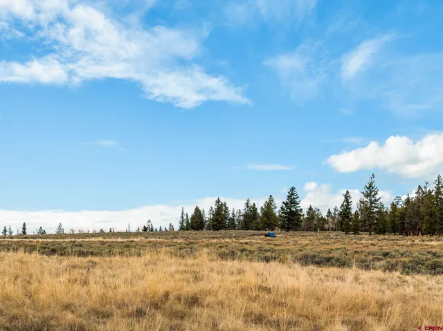 a view of a lake and trees