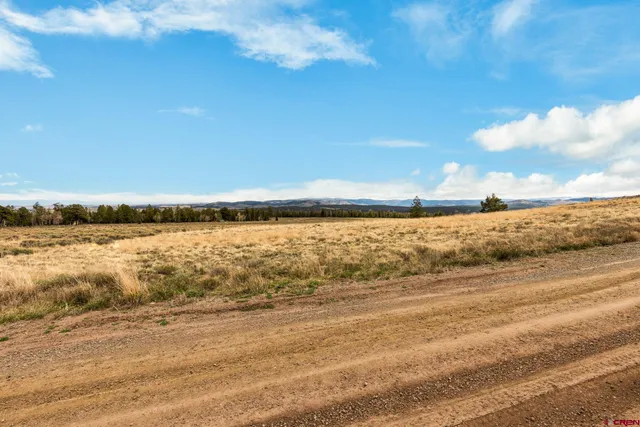 a view of an ocean beach
