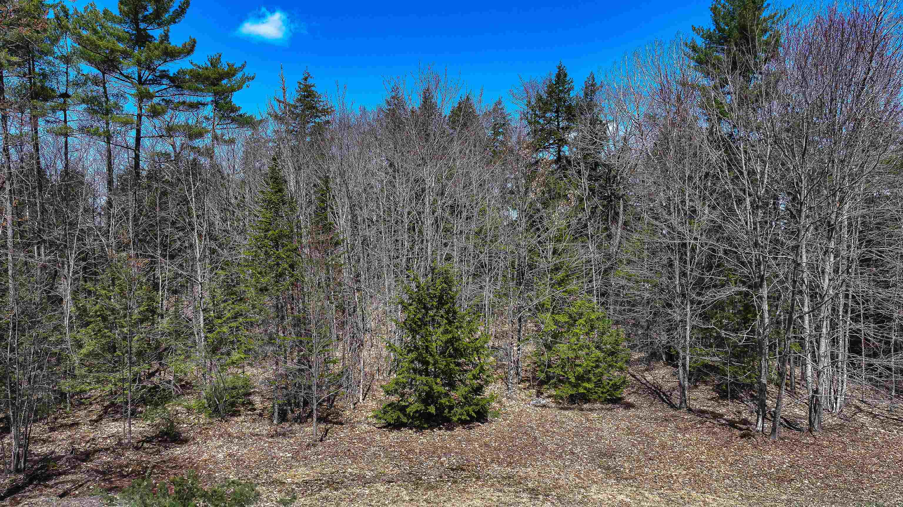 169 South Bridgton Road Bridgton, ME 04009 - Photo 43 of 49