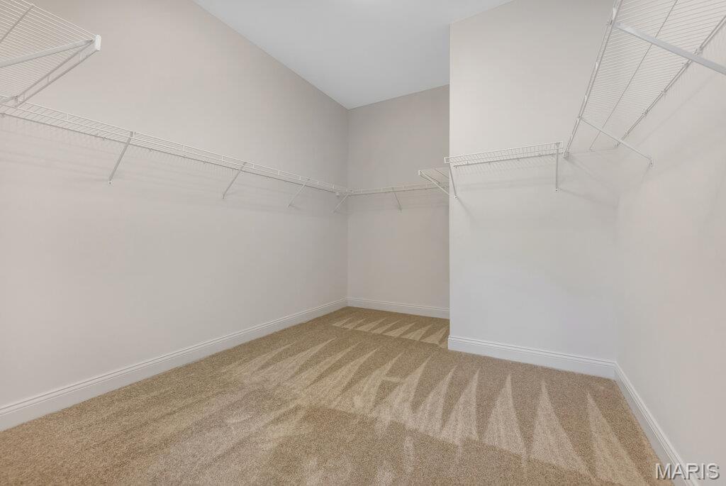 310 Red Wing Court Troy, MO 63379 - Photo 55 of 84