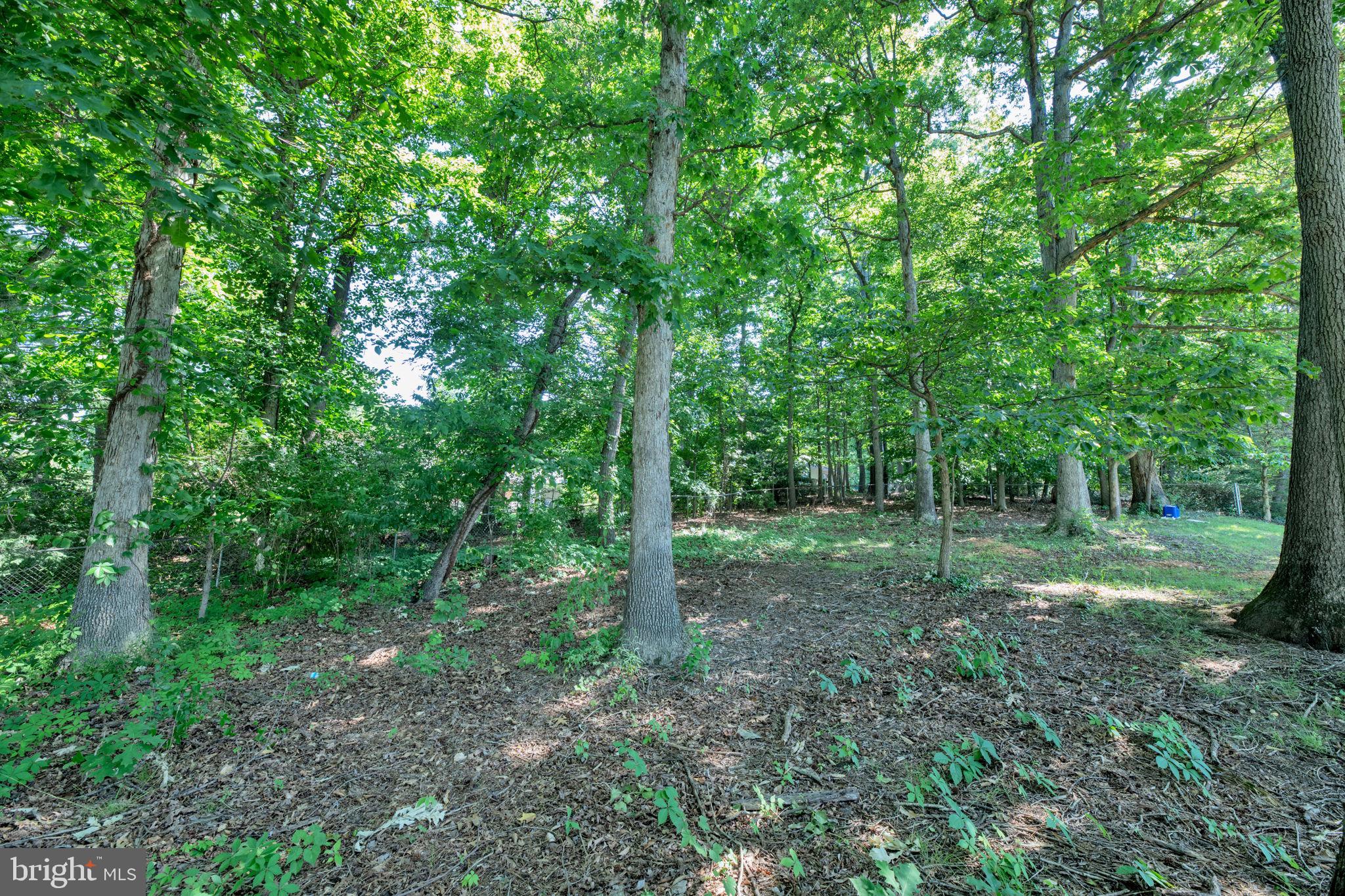 8812 Churchfield Lane Laurel, MD 20708 - Photo 25 of 31 a view of outdoor space and trees
