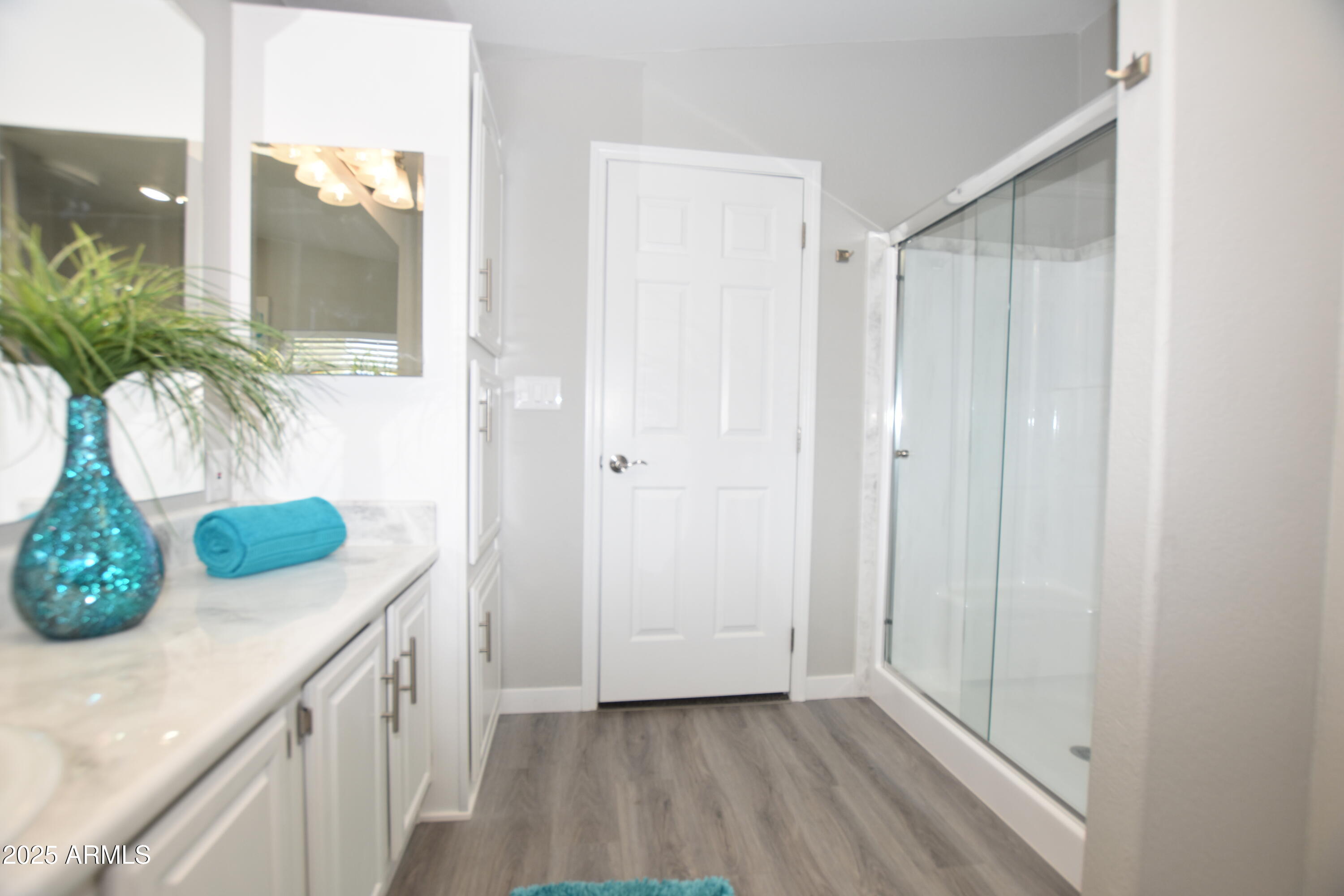 2015 North Delaware Drive Apache Junction, AZ 85120 - Photo 29 of 41 Main bath:shower_1097