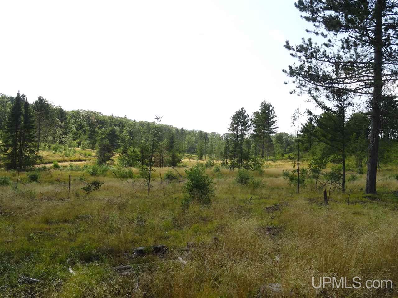 143-acres County Rd FF Republic, MI 49879 - Photo 7 of 18