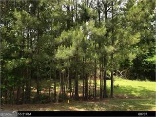 a view of a yard with plants and trees