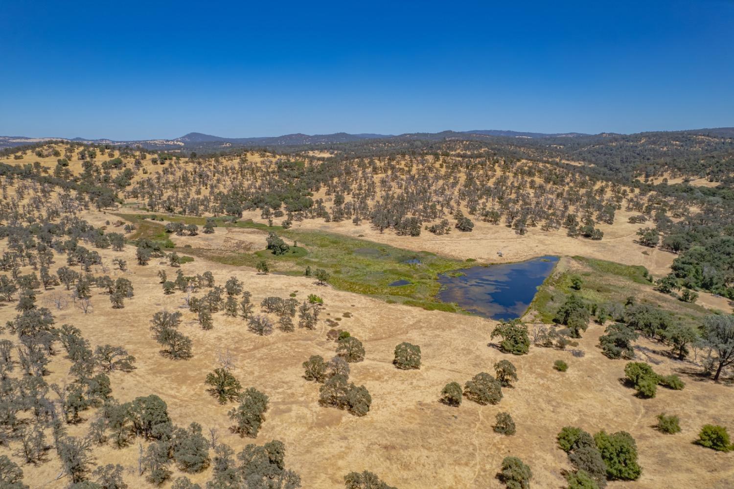 27044 McCourtney Road Grass Valley, CA 95949 - Photo 12 of 74