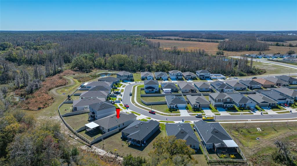 20076 Azul Marble Land O' Lakes, FL 34638 - Photo 24 of 72