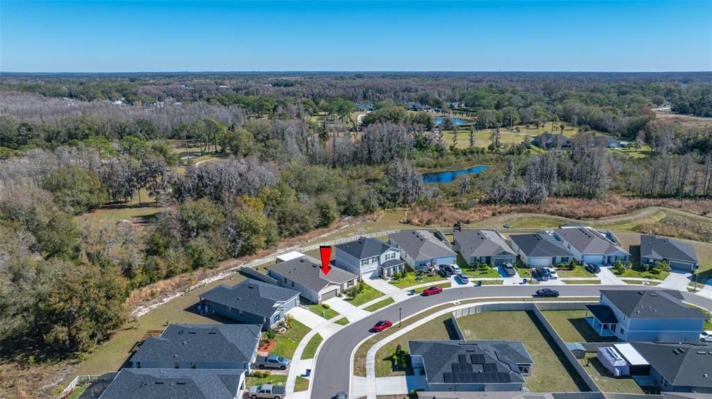 20076 Azul Marble Land O' Lakes, FL 34638 - Photo 25 of 72