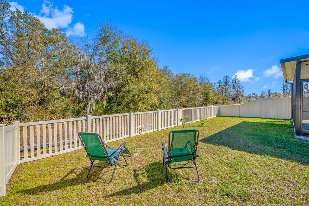 20076 Azul Marble Land O' Lakes, FL 34638 - Photo 37 of 72