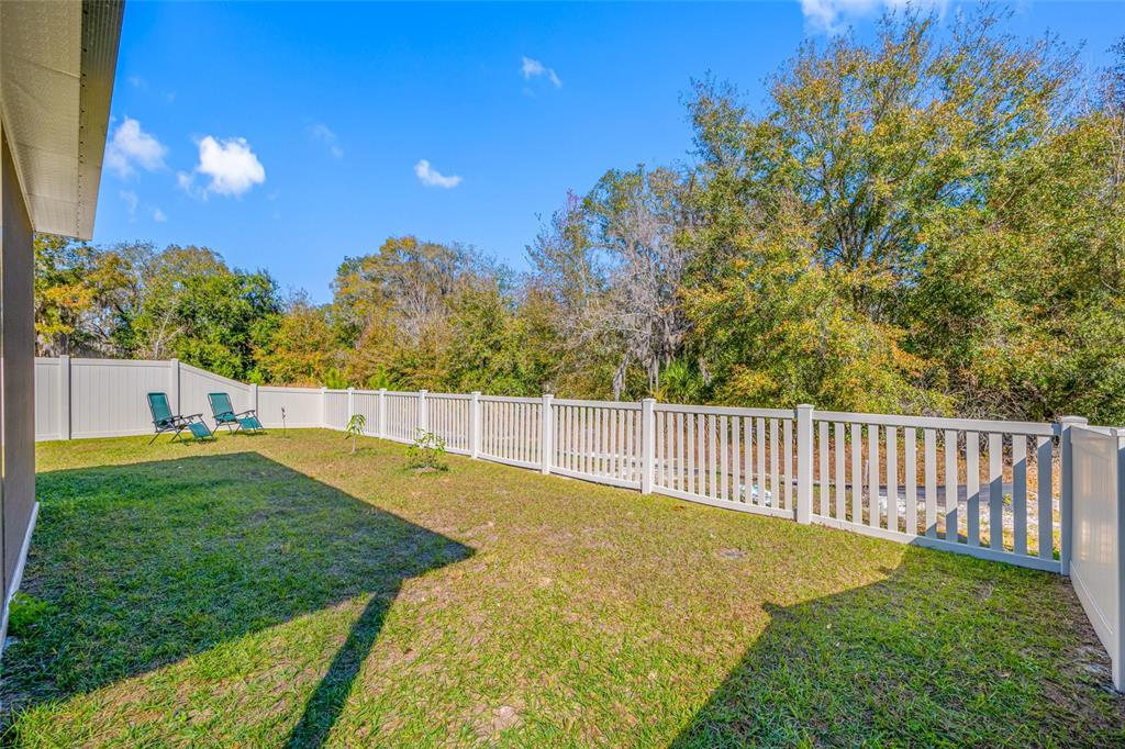 20076 Azul Marble Land O' Lakes, FL 34638 - Photo 39 of 72