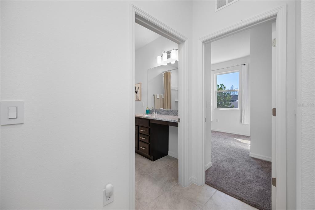 20076 Azul Marble Land O' Lakes, FL 34638 - Photo 48 of 72