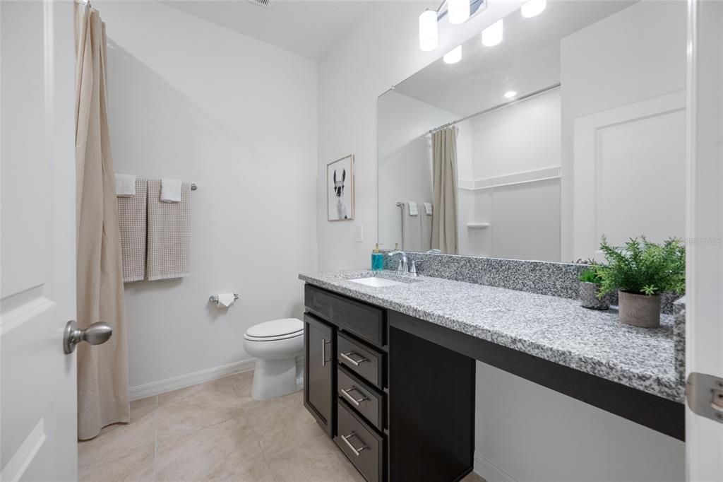 20076 Azul Marble Land O' Lakes, FL 34638 - Photo 56 of 72