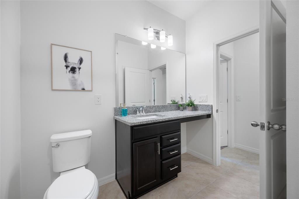 20076 Azul Marble Land O' Lakes, FL 34638 - Photo 57 of 72