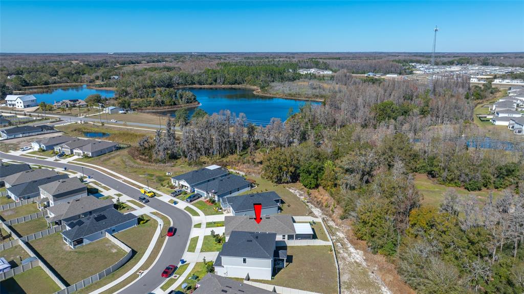 20076 Azul Marble Land O' Lakes, FL 34638 - Photo 6 of 72