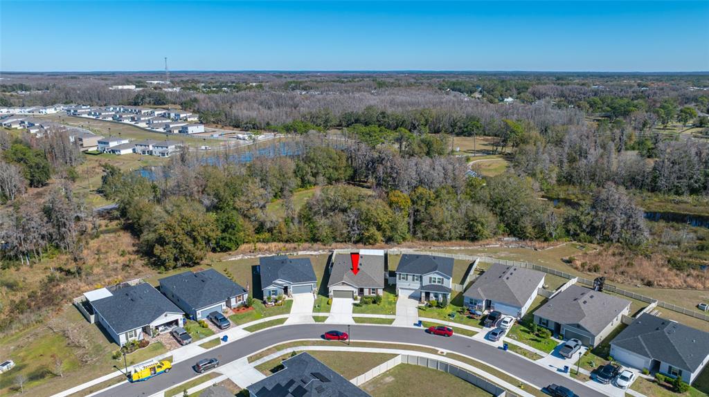 20076 Azul Marble Land O' Lakes, FL 34638 - Photo 71 of 72