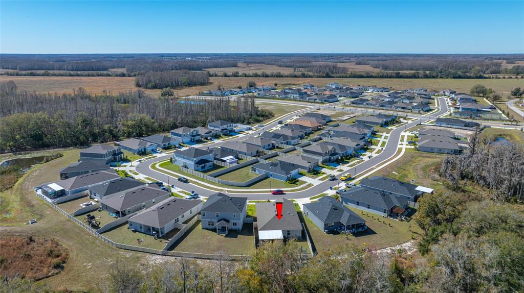 20076 Azul Marble Land O' Lakes, FL 34638 - Photo 8 of 72