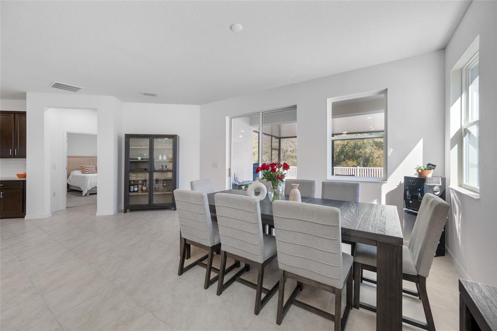 20076 Azul Marble Land O' Lakes, FL 34638 - Photo 9 of 72