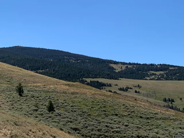 $119,000 | 110 Hart Trail, Dubois, WY 82513