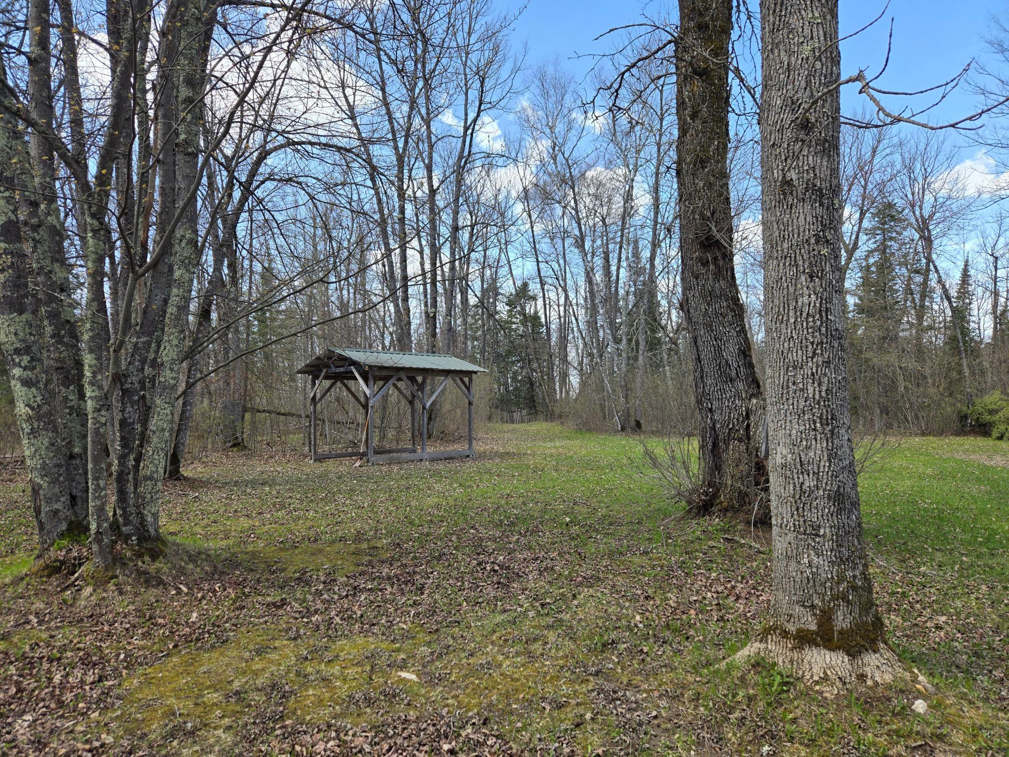 37373 Hanson Road Bigfork, MN 56628 - Photo 20 of 65