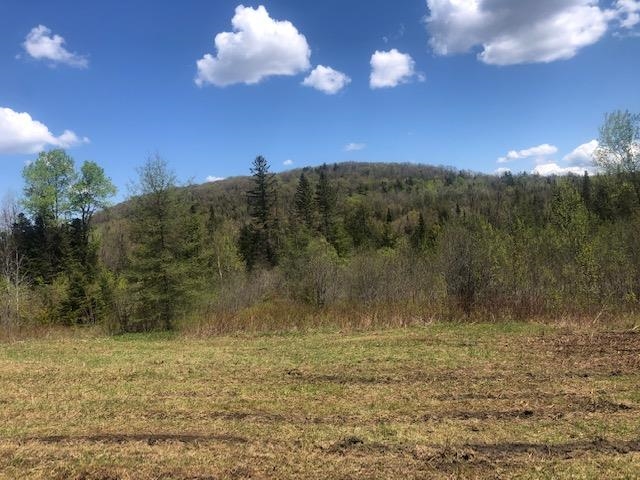 1195 Bayley Hazen Road Greensboro, VT 05841 - Photo 11 of 21