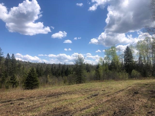1195 Bayley Hazen Road Greensboro, VT 05841 - Photo 12 of 21