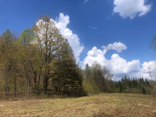 1195 Bayley Hazen Road Greensboro, VT 05841 - Photo 13 of 21