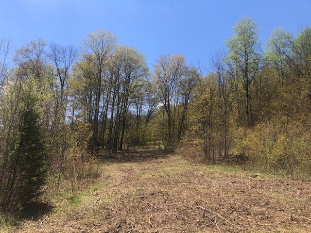 1195 Bayley Hazen Road Greensboro, VT 05841 - Photo 14 of 21