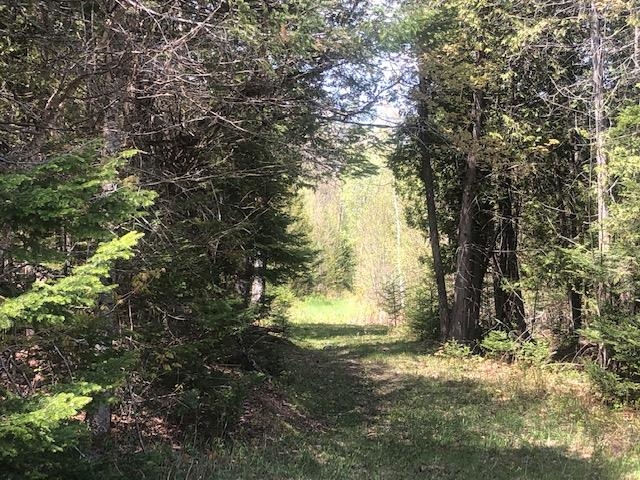 1195 Bayley Hazen Road Greensboro, VT 05841 - Photo 15 of 21