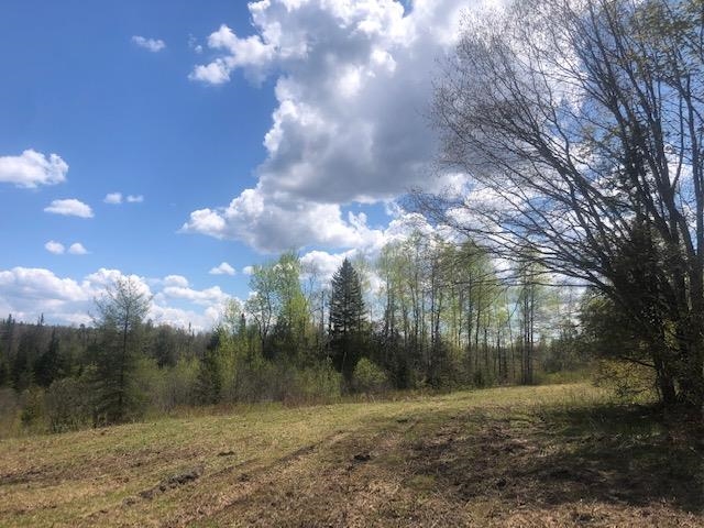 1195 Bayley Hazen Road Greensboro, VT 05841 - Photo 19 of 21
