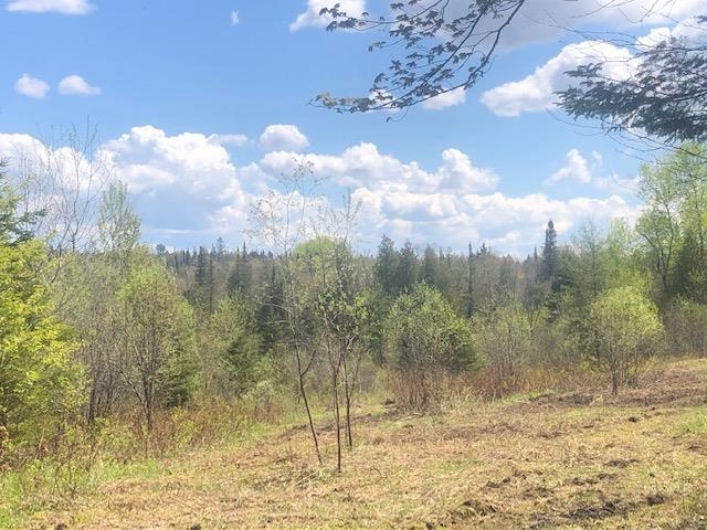 1195 Bayley Hazen Road Greensboro, VT 05841 - Photo 20 of 21