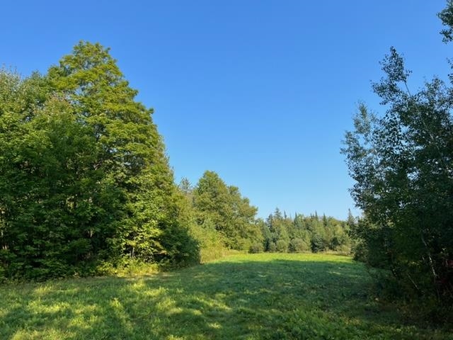 1195 Bayley Hazen Road Greensboro, VT 05841 - Photo 2 of 21