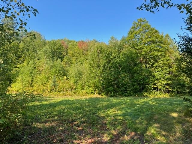 1195 Bayley Hazen Road Greensboro, VT 05841 - Photo 3 of 21