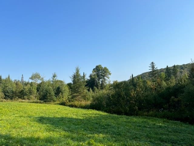 1195 Bayley Hazen Road Greensboro, VT 05841 - Photo 4 of 21