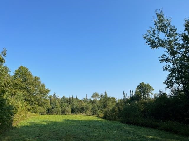 1195 Bayley Hazen Road Greensboro, VT 05841 - Photo 6 of 21