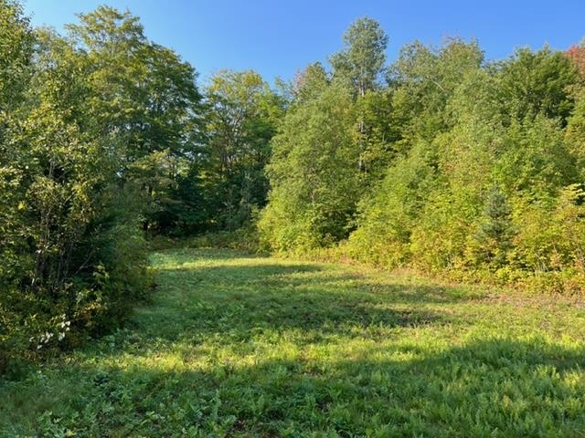 1195 Bayley Hazen Road Greensboro, VT 05841 - Photo 9 of 21