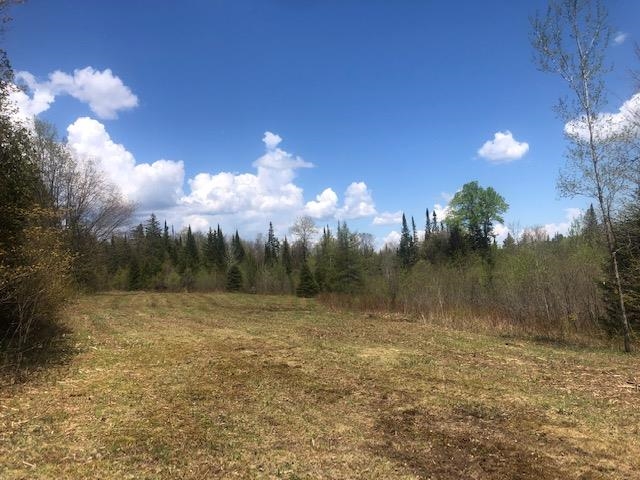 1195 Bayley Hazen Road Greensboro, VT 05841 - Photo 10 of 21
