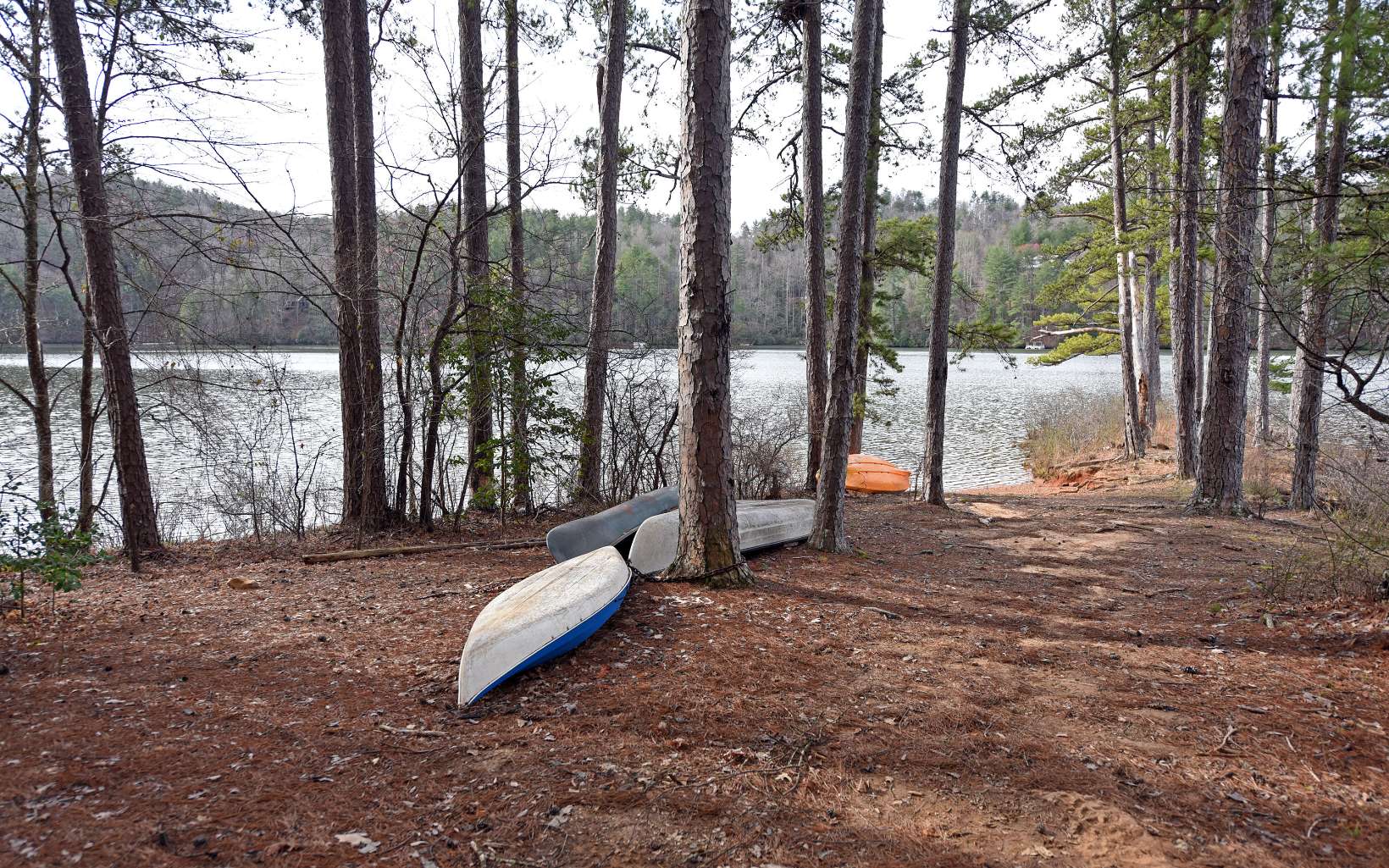 612 Appalachia Cove Murphy, NC 28906 - Photo 70 of 74 Additional View