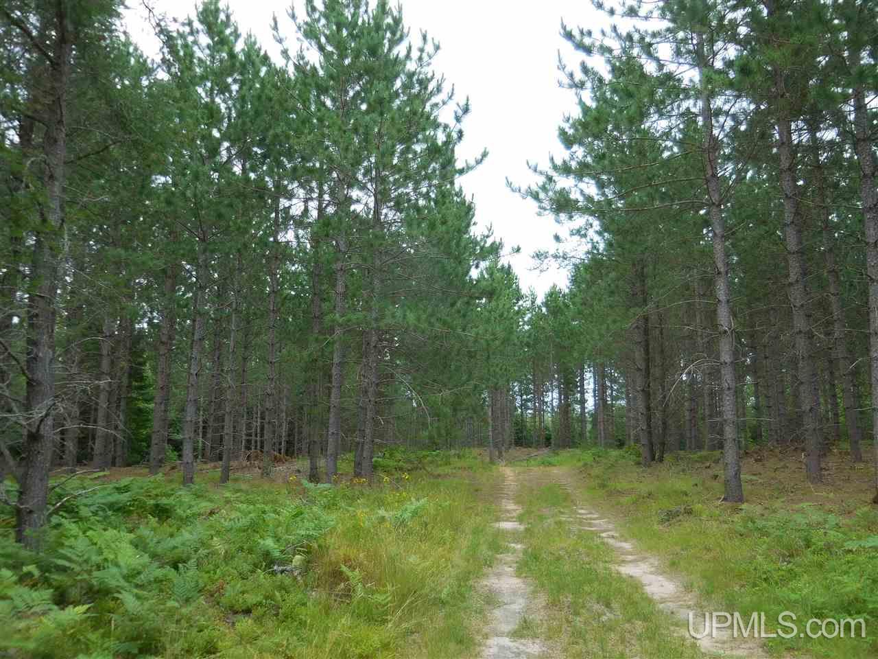 2324 Carlson Road Manistique, MI 49854 - Photo 11 of 35 Gallery Image 11