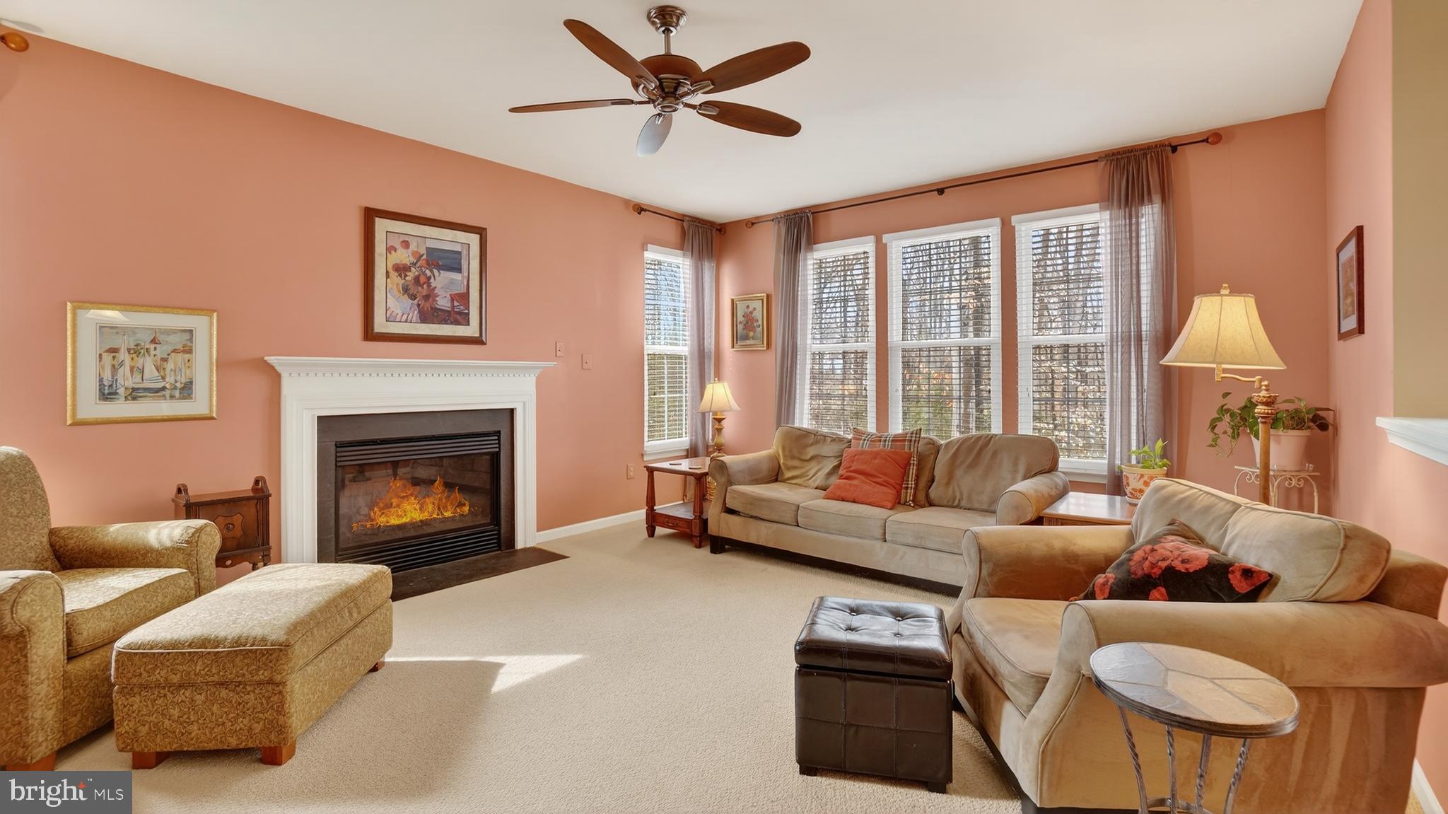 2806 Erna Court Crofton, MD 21054 - Photo 20 of 60 a living room with furniture and a fireplace